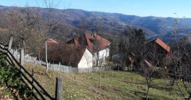 Radojevići