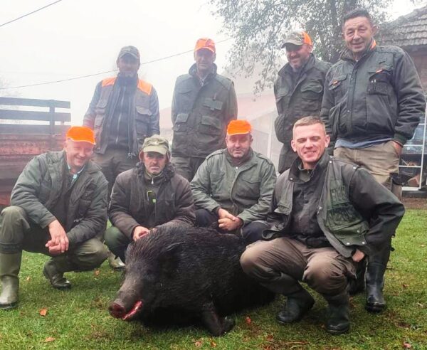 Одстрељена дивља свиња у Зарожју