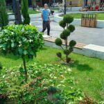 У објективу: Уређење јавних површина