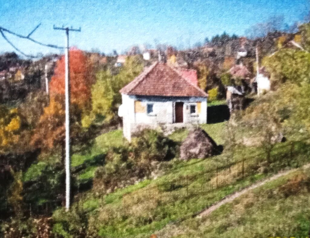Породична кућа у Придолима, одавно напуштена