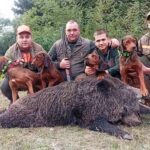 ЛУ Соко: ПОЧЕО ЛОВ НА ДИВЉЕ СВИЊЕ